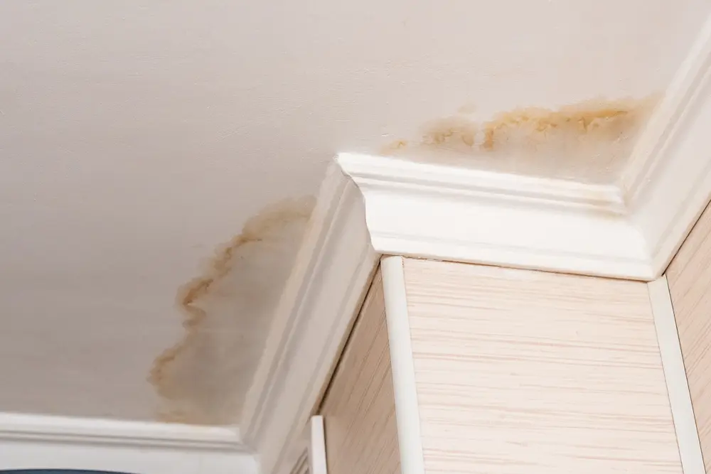 Closeup of a water-damaged ceiling from a water leak, with possible mold regrowth